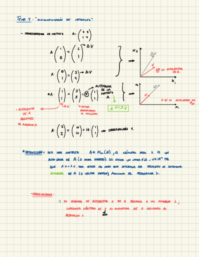Miniatura del documento diagonalizacion-autovalores-y-autovectores.pdf