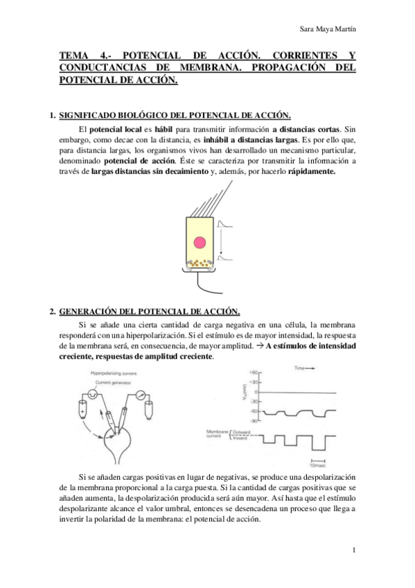 Miniatura del documento TEMA 4.- POTENCIAL DE ACCIÓN. CORRIENTES Y CONDUCTANCIAS DE MEMBRANA. PROPAGACIÓN DEL POTENCIAL DE ACCIÓN..pdf