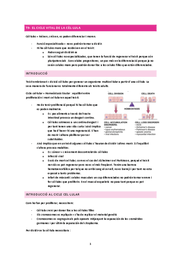 Miniatura del documento T9-El-cicle-vital-de-la-cellula.pdf