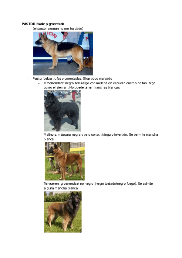 Miniatura del documento Bases-perro-practicas.pdf