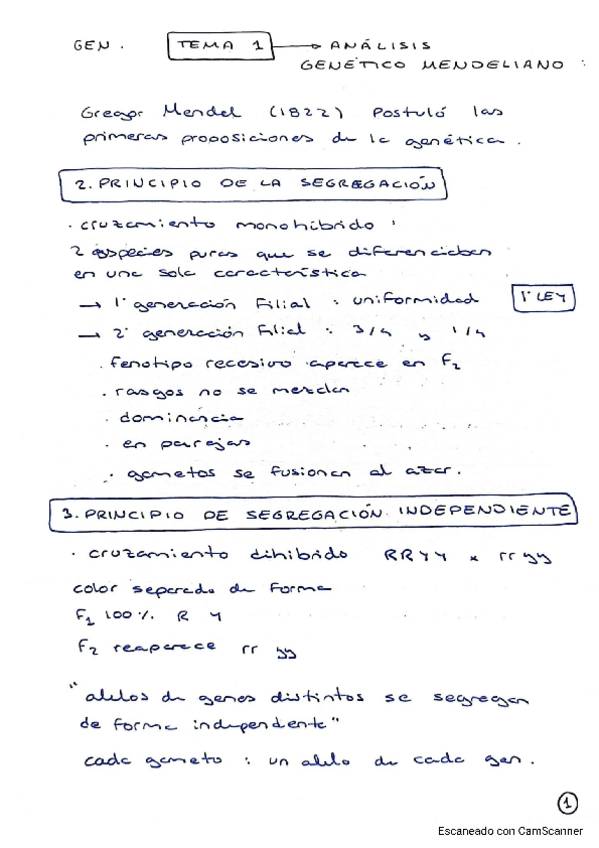 Miniatura del documento apuntes-bloque-I-genetica-tema-1-2-y-3.pdf