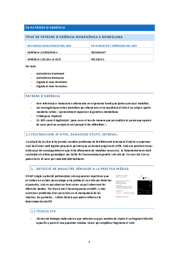 Miniatura del documento T8-Patrons-dherencia.pdf