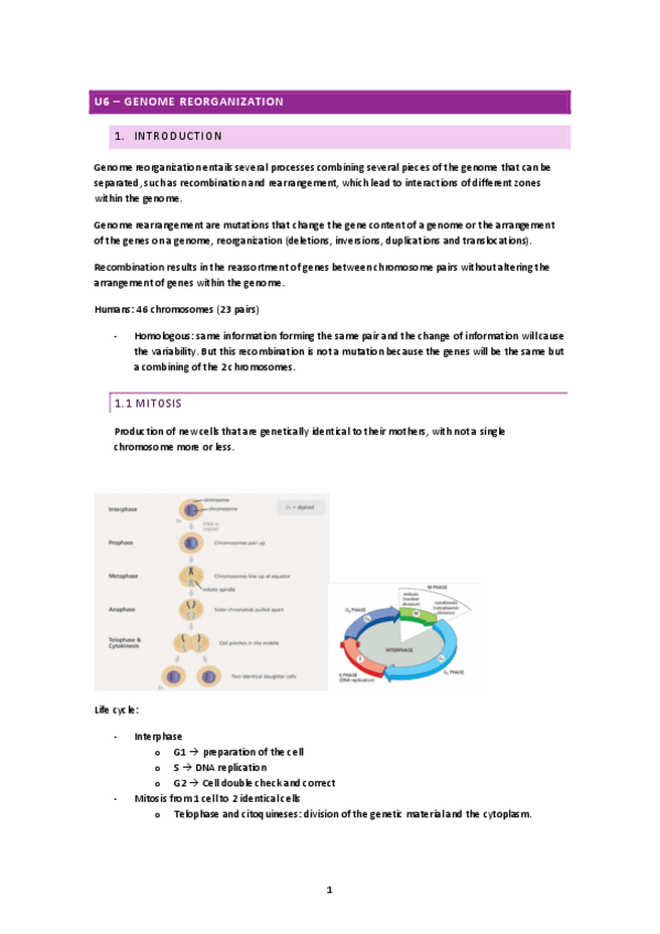 Miniatura del documento U6-genome-reorganization.pdf