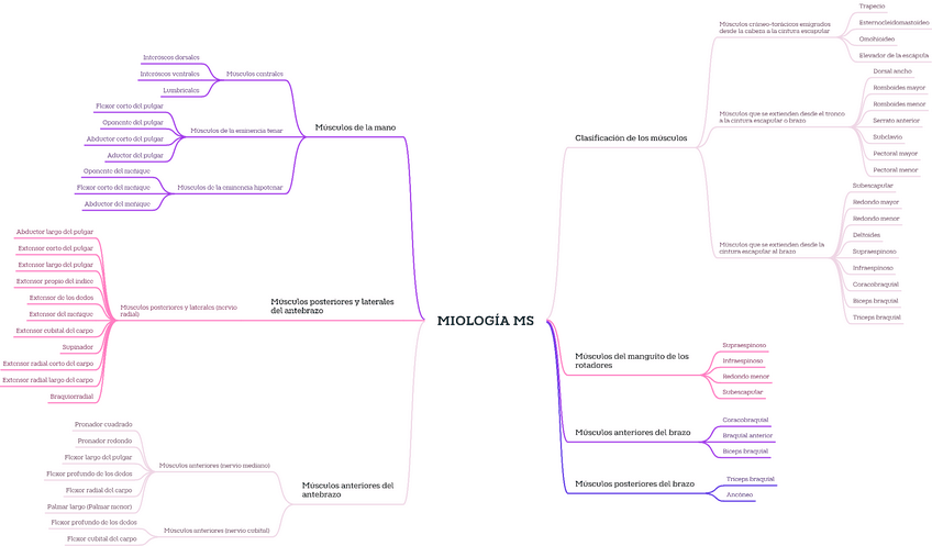 Miniatura del documento T.4MS3Miologia.pdf