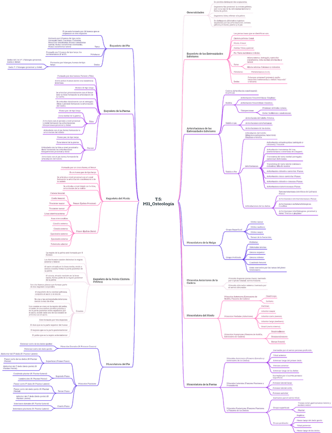 Miniatura del documento T.5MI1Osteologia.pdf