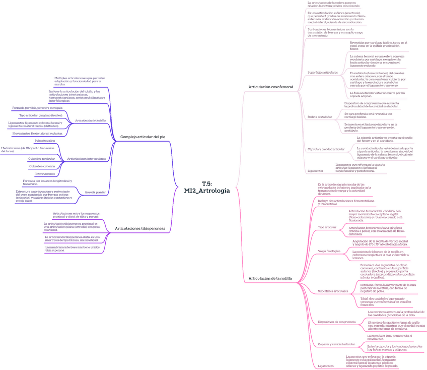 Miniatura del documento T.5MI2Artrologia.pdf