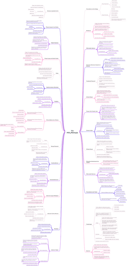 Miniatura del documento T.5MI3Miologia.pdf