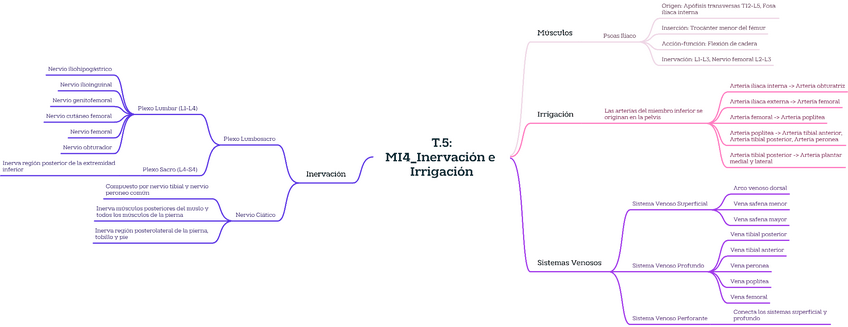 Miniatura del documento T.5MI4InervacionIrrigacion.pdf
