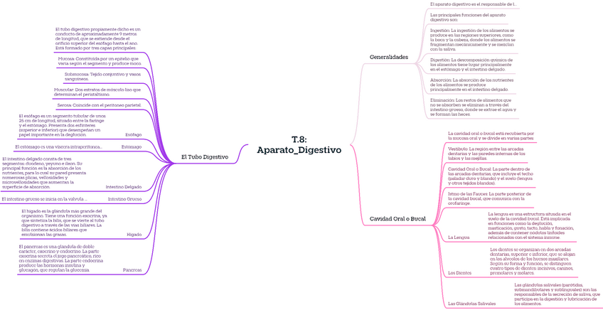 Miniatura del documento T.8AparatoDigestivo.pdf