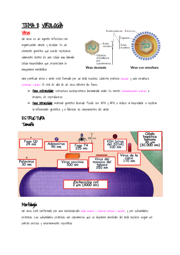 Miniatura del documento Microbiologia-Tema-8.pdf
