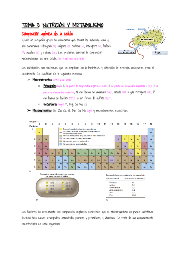 Miniatura del documento Microbiologia-Tema-3.pdf