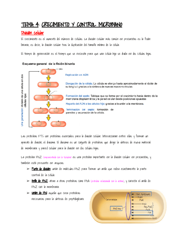 Miniatura del documento Microbiologia-Tema-4.pdf