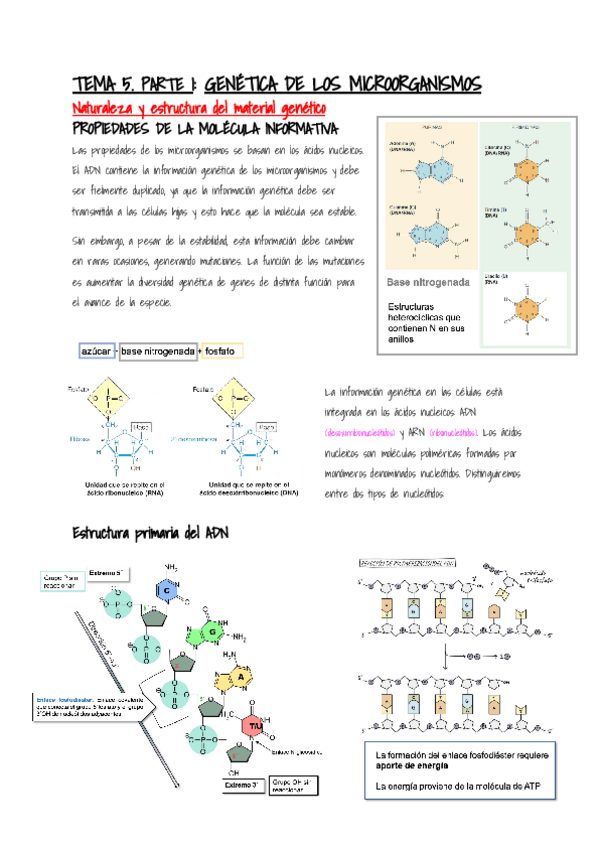 Miniatura del documento Microbiologia-Tema-5-Parte-I.pdf