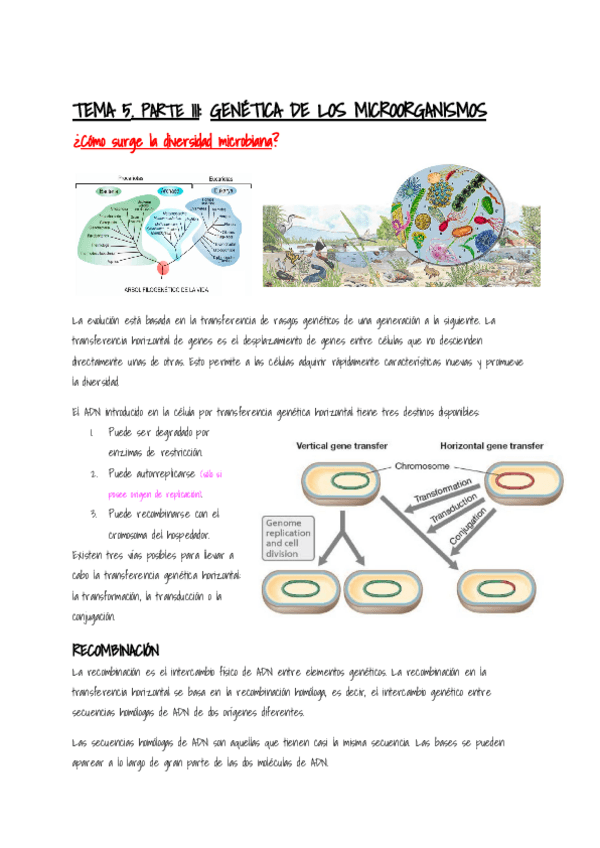 Miniatura del documento Microbiologia-Tema-5-Parte-III.pdf