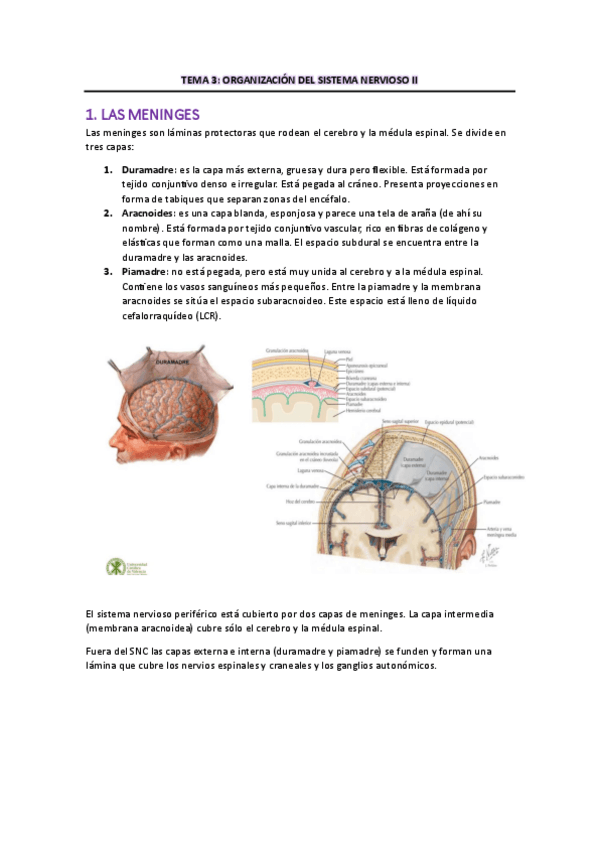 Miniatura del documento TEMA-3.pdf