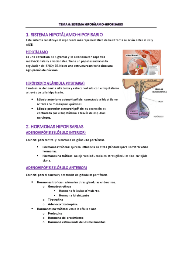 Miniatura del documento TEMA-6.pdf