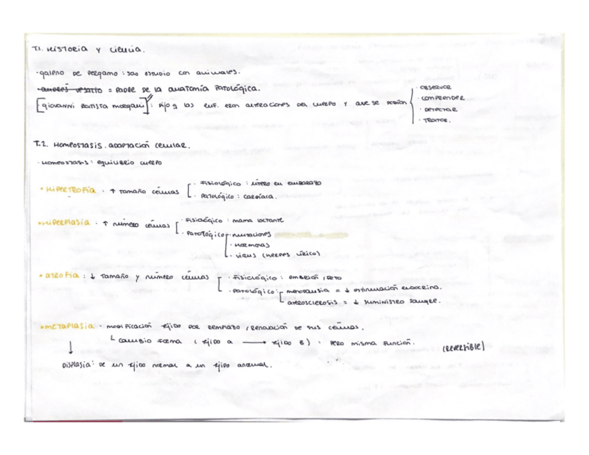 Miniatura del documento apuntes.pdf