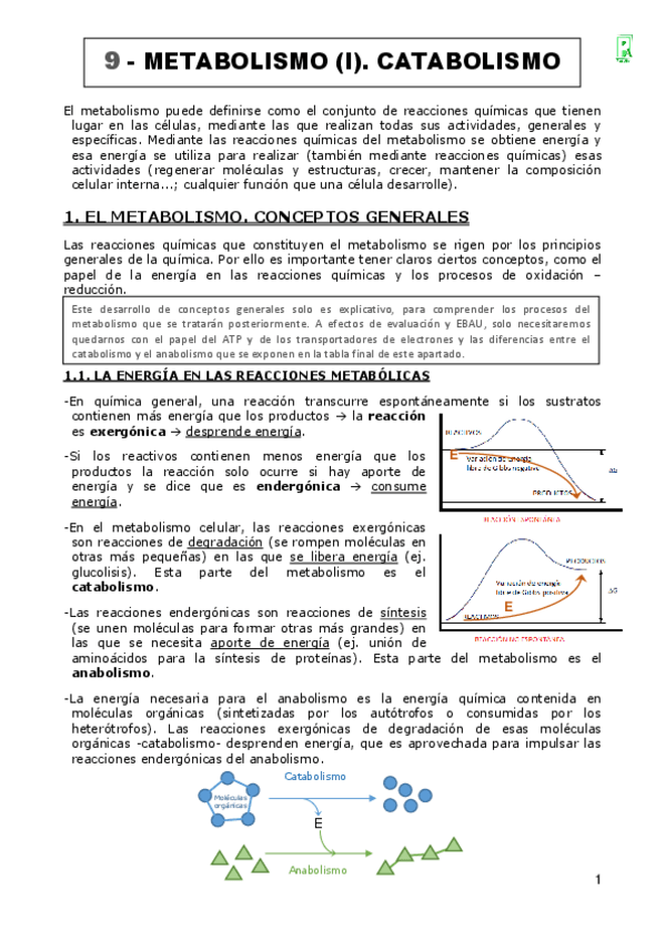 Miniatura del documento Tema-9.-Metabolismo-Catabolismo-.pdf