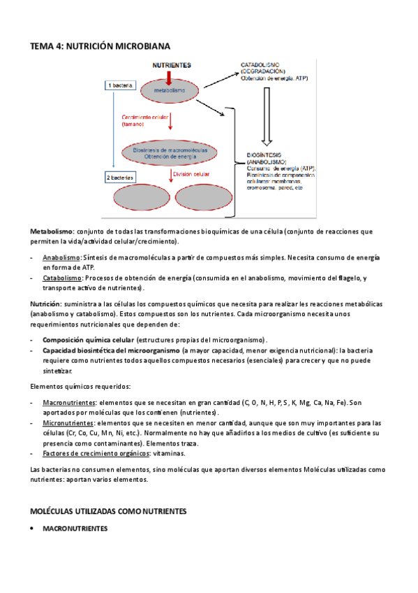 Miniatura del documento TEMA-4-NUTRICION-MICROBIANA.pdf