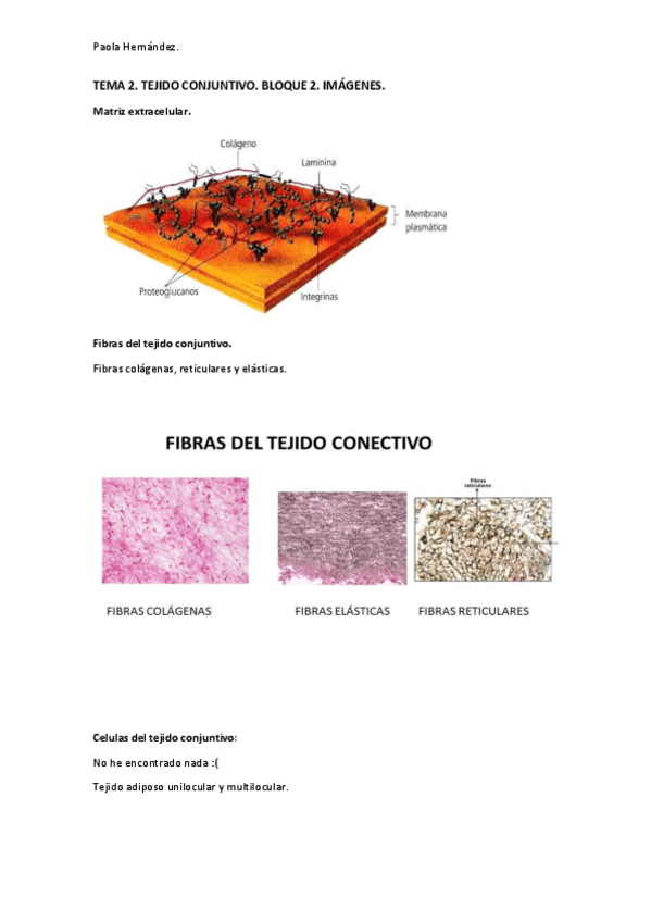 Miniatura del documento Guion-2-histologia.-Bloque-2-imagenes.pdf