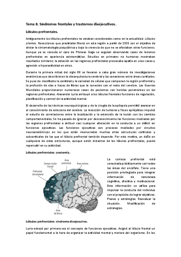 Miniatura del documento Tema-8.-Neuropsicologia.pdf