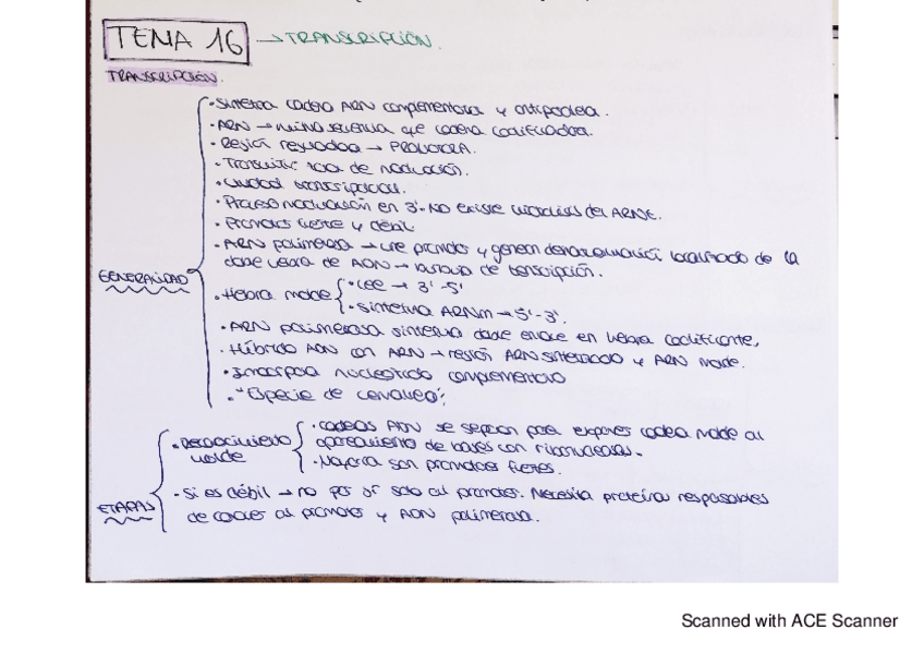 Miniatura del documento bqe-tema-16.pdf