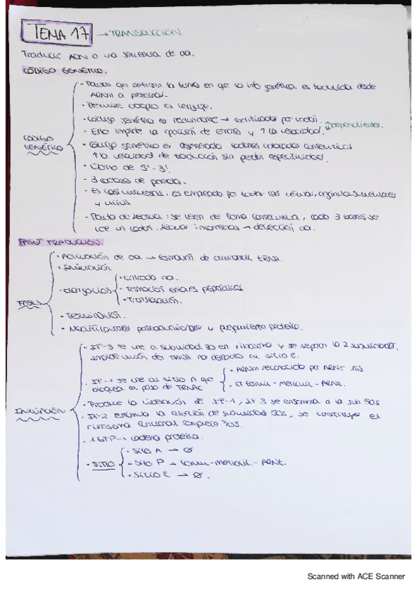 Miniatura del documento bqe-tema-17.pdf