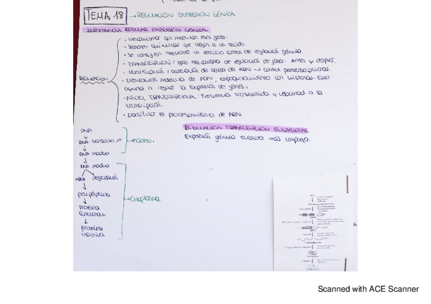 Miniatura del documento bqe-tema-18.pdf