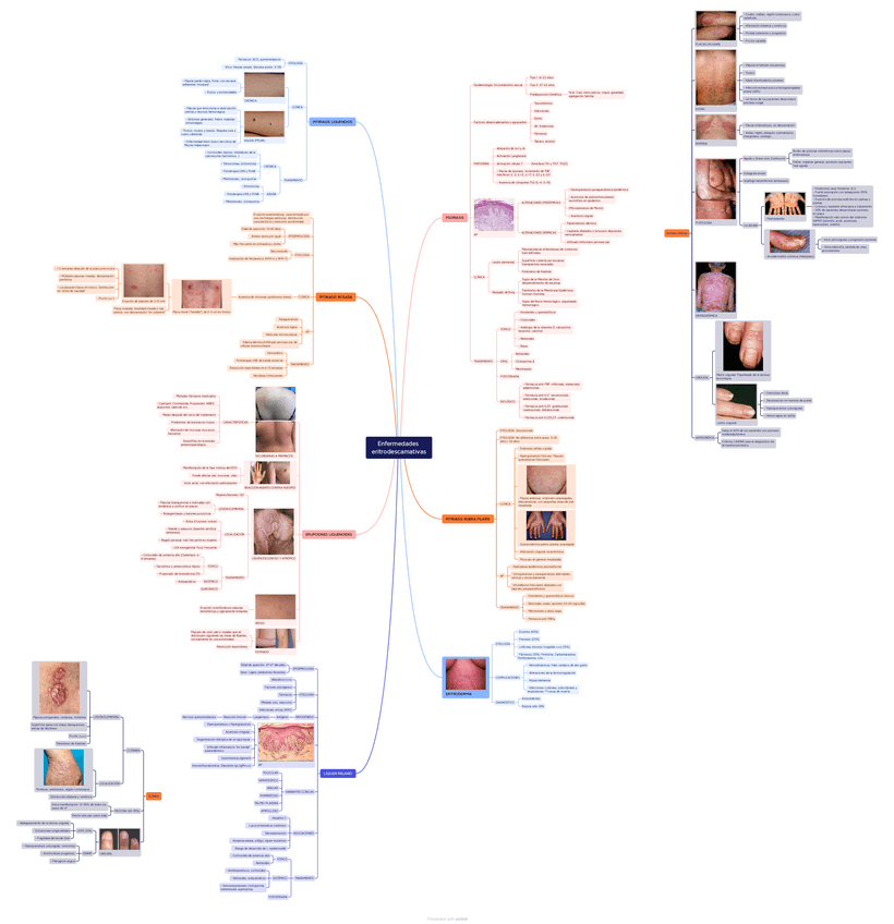 Miniatura del documento ESQUEMA-Enfermedades-eritrodescamativas.pdf