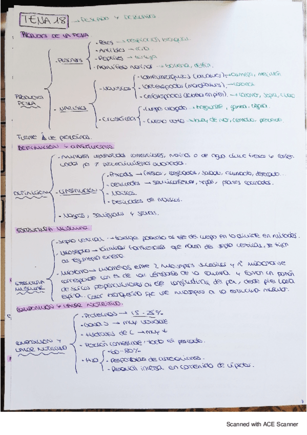 Miniatura del documento fbro-tema-18.pdf