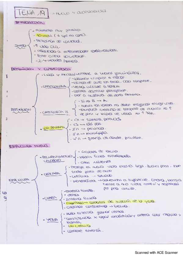 Miniatura del documento fbro-tema-19.pdf