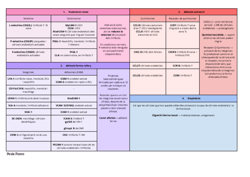 Miniatura del documento T.17-Circulacio-limfocits-resum.pdf