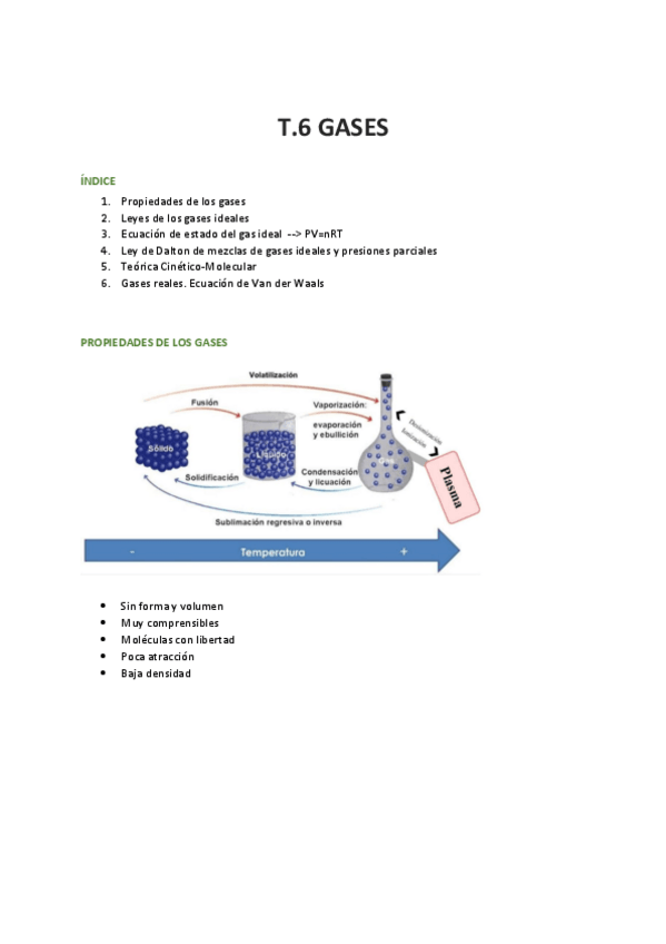 Miniatura del documento t.6-gases.pdf