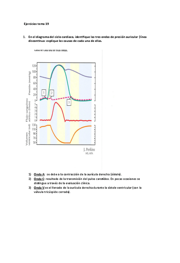 Miniatura del documento Actividades-ciclo-cardiaco.pdf
