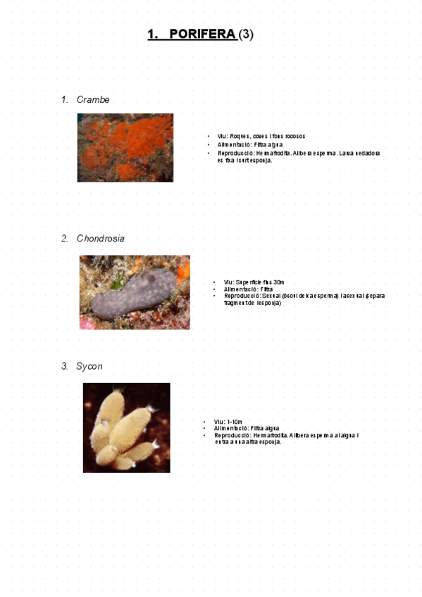 Miniatura del documento Especies-Zoo-2024.pdf