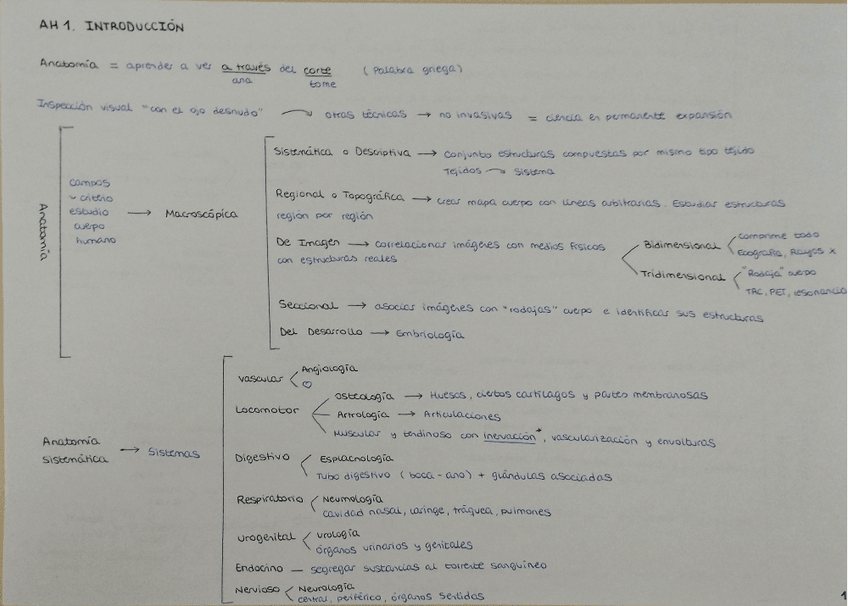 Miniatura del documento Anatomia-T-1-6.pdf