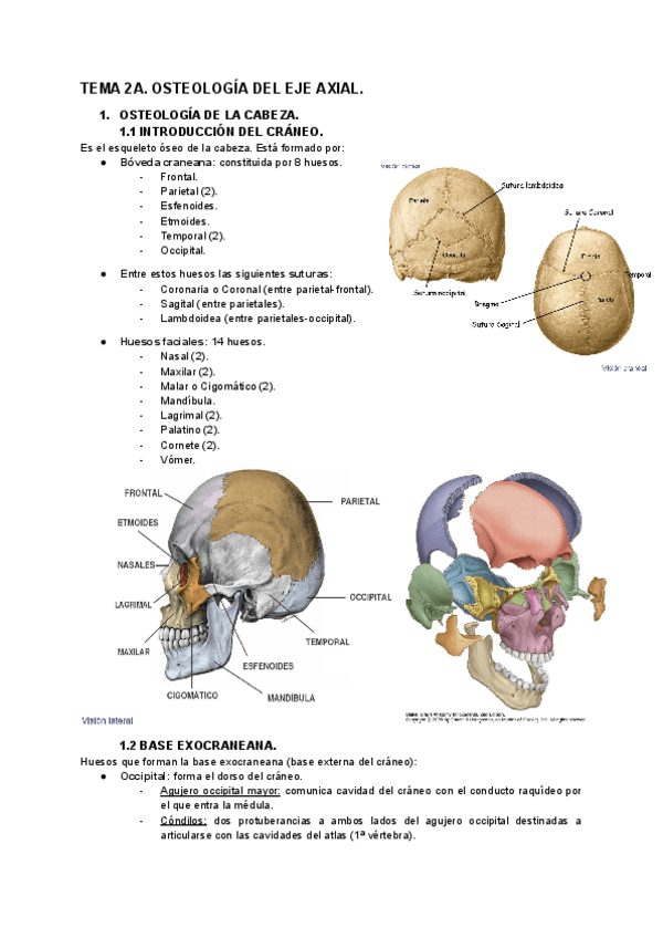 Miniatura del documento TEMA-2A.-EJE-AXIAL..pdf