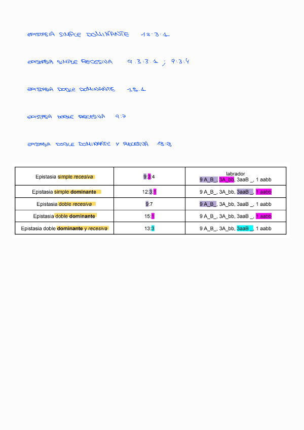 Miniatura del documento PROBLEMAS-CLEMENTINA.pdf