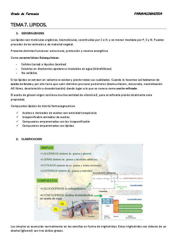 Miniatura del documento TEMA 7.pdf