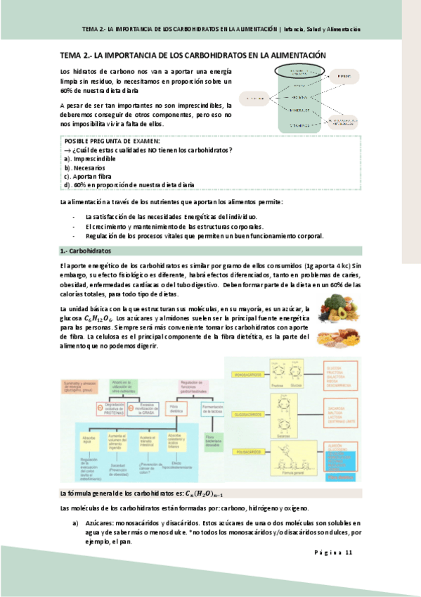 Miniatura del documento ISA.-TEMA-2.-LA-IMPORTANCIA-DE-LOS-CARBOHIDRATOS-EN-LA-ALIMENTACION.pdf