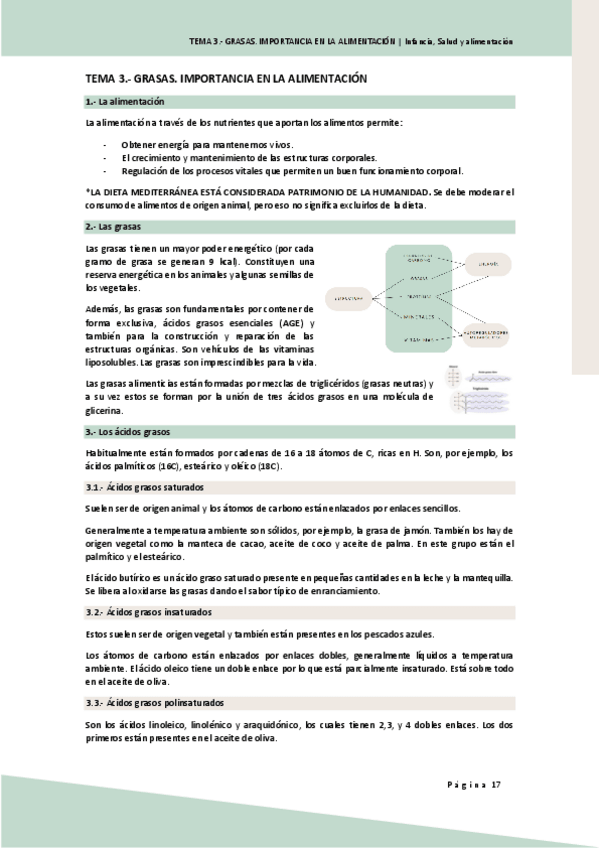 Miniatura del documento ISA.-TEMA-3.-GRASAS.-IMPORTANCIA-EN-LA-ALIMENTACION.pdf