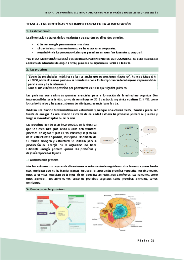 Miniatura del documento ISA.-TEMA-4.-LAS-PROTEINAS-Y-SU-IMPORTANCIA-EN-LA-ALIMENTACION.pdf
