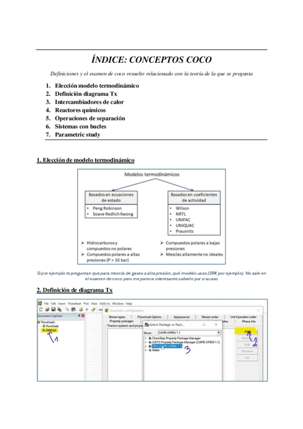 Miniatura del documento Guia-Test-COCO.pdf