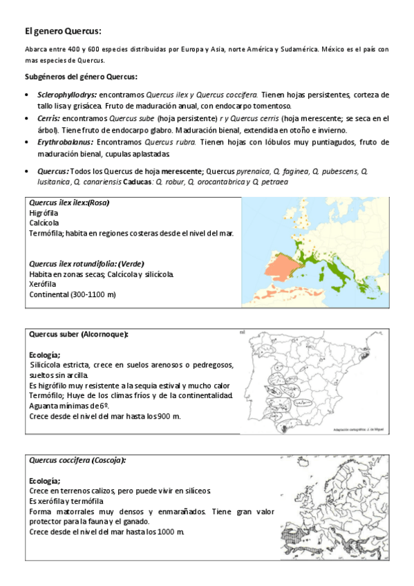 Miniatura del documento El-genero-quercus.pdf