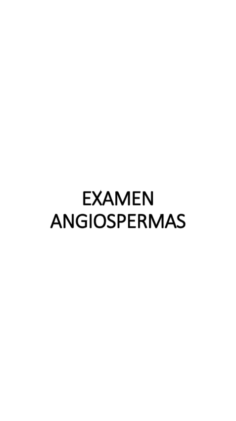 Miniatura del documento EXAMEN-ANGIOSPERMAS-3-6-2024.pdf