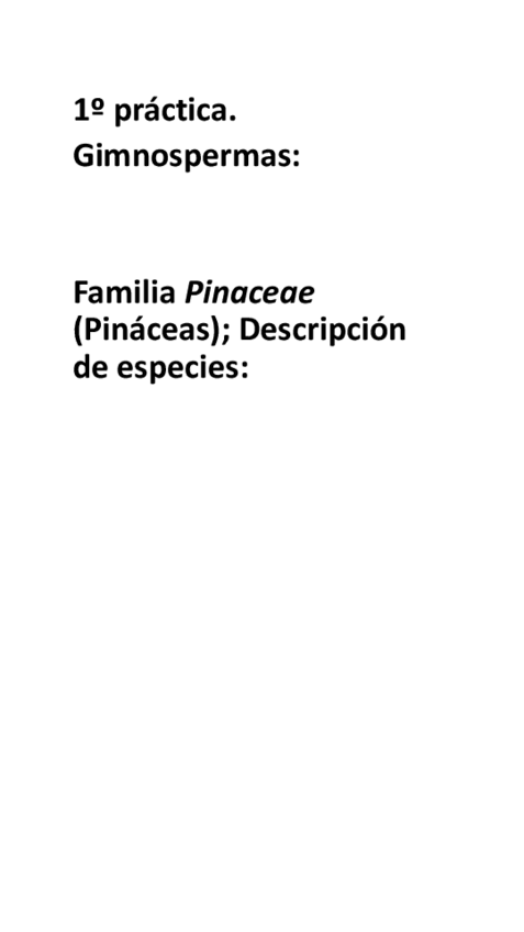 Miniatura del documento Visu-practica-1.pdf