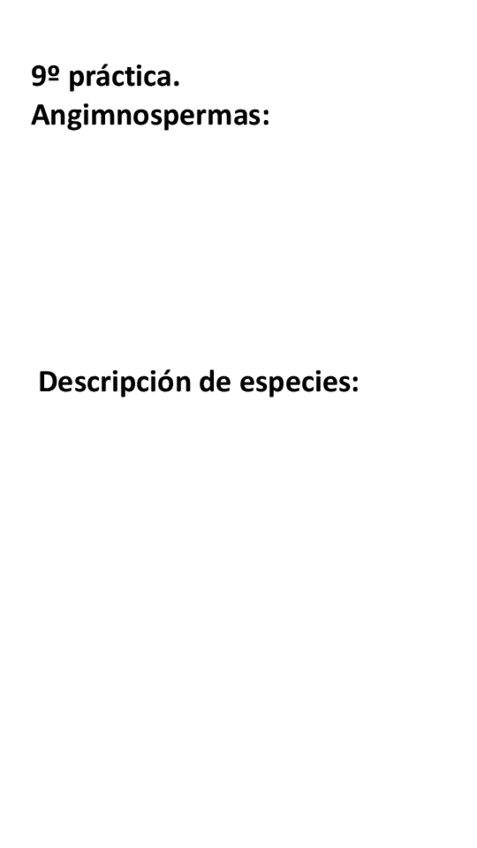 Miniatura del documento Visu-practica-9.pdf