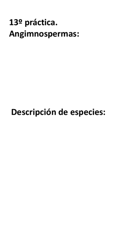 Miniatura del documento Visu-practica-13.pdf