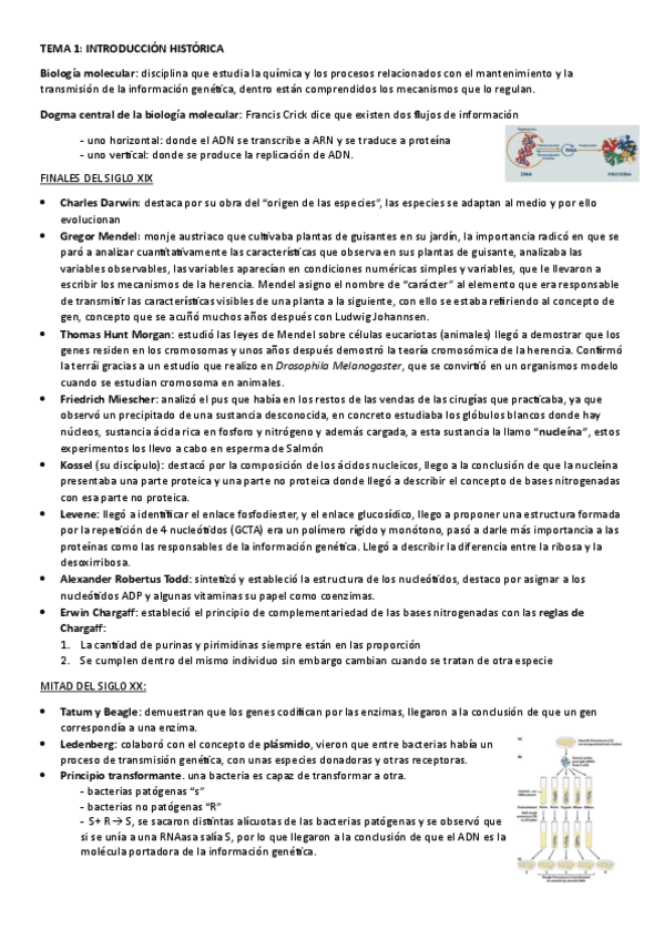 Miniatura del documento TEMA-1.-INTRODUCCION-HISTORICA.pdf