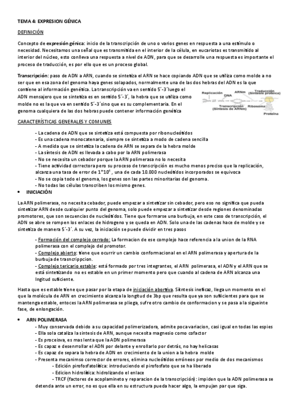 Miniatura del documento TEMA-4.-EXPRESION-GENICA.pdf